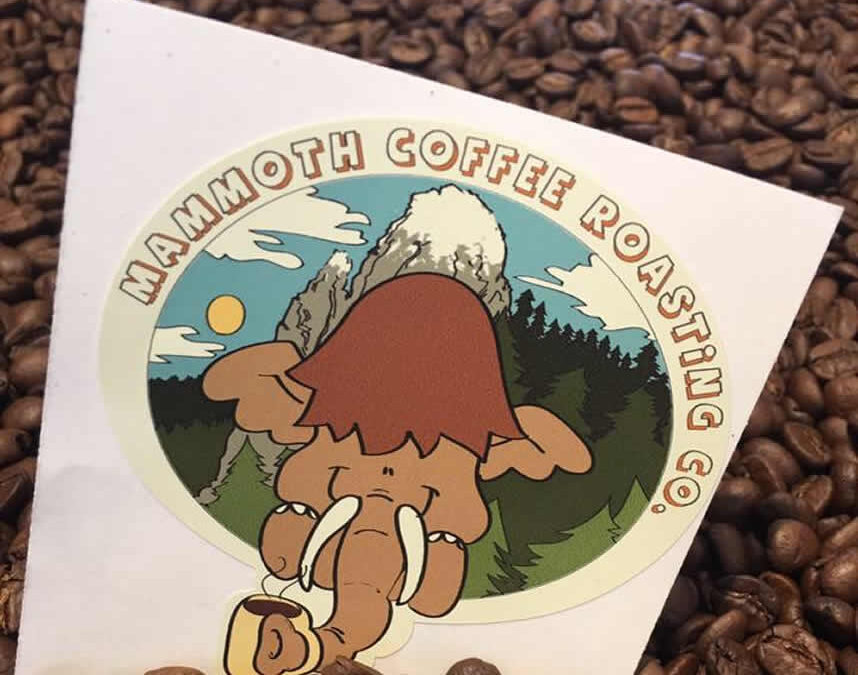 Brewing Success: The Mammoth Coffee Roasting Story